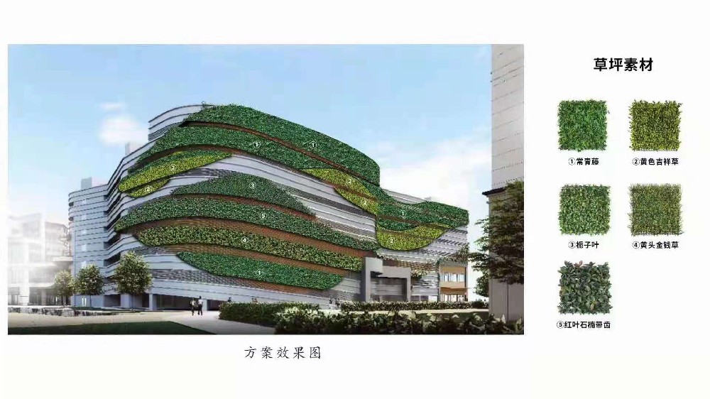 大型仿真植物墙设计施工